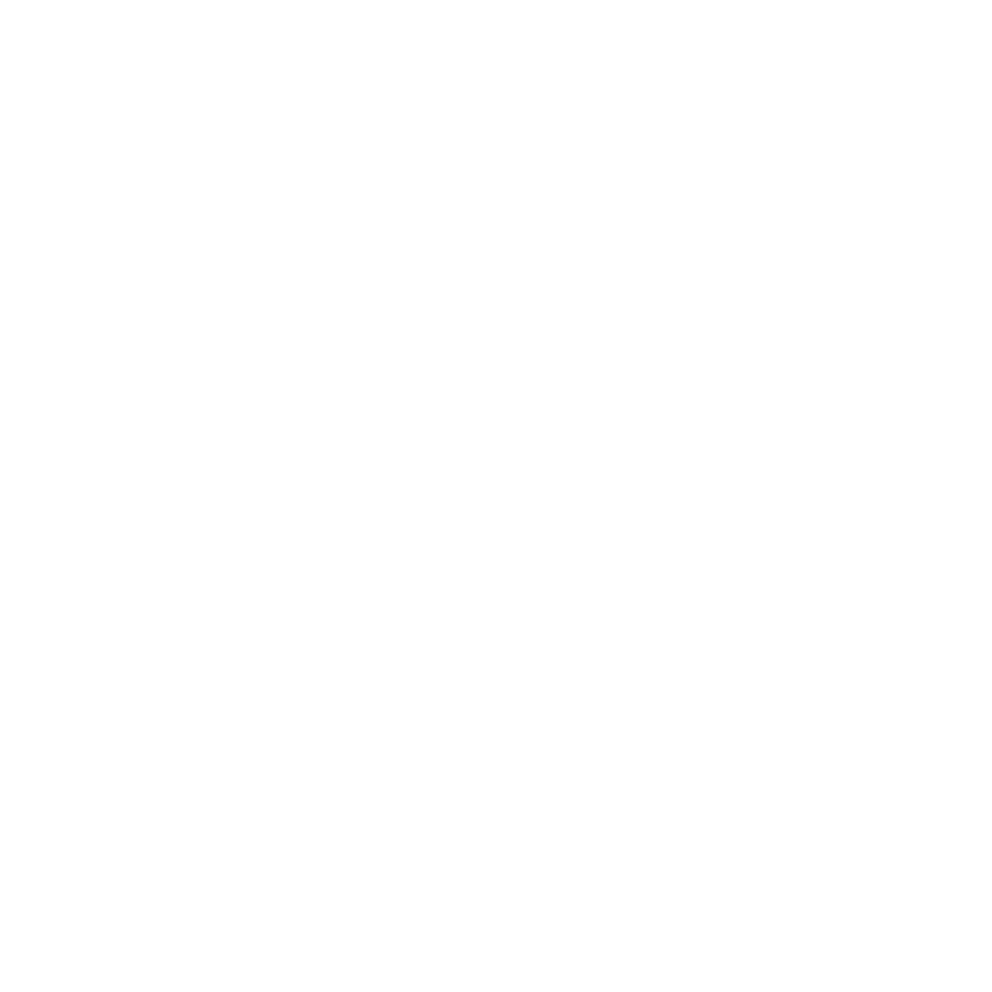 icon1
