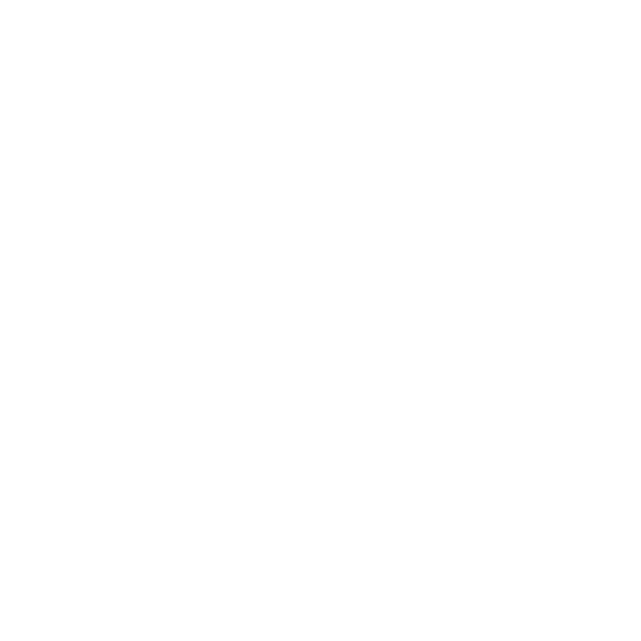 icon2